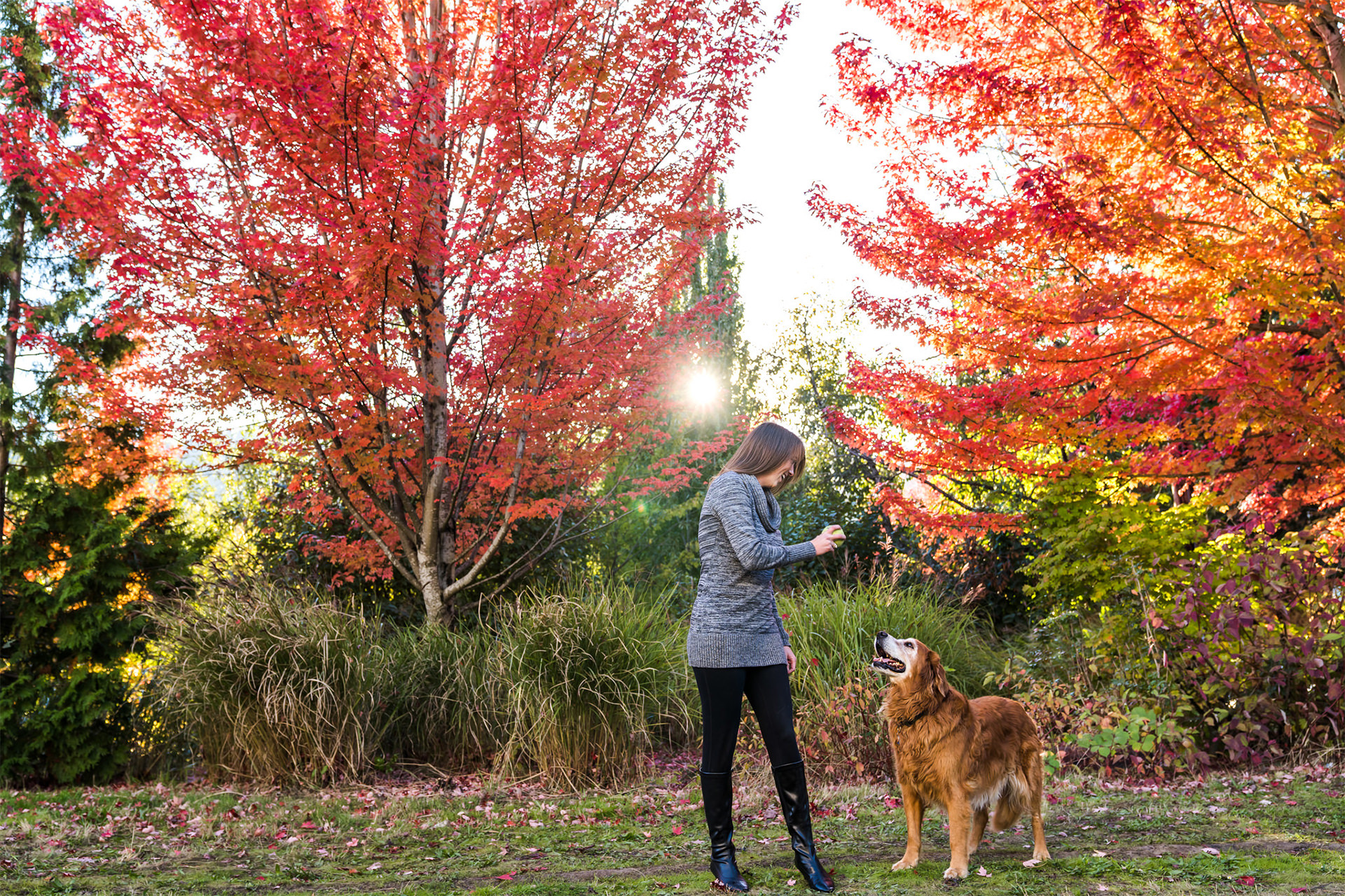 Woman and her senior golden retriever in vibrant fall colors in North Portland, Oregon