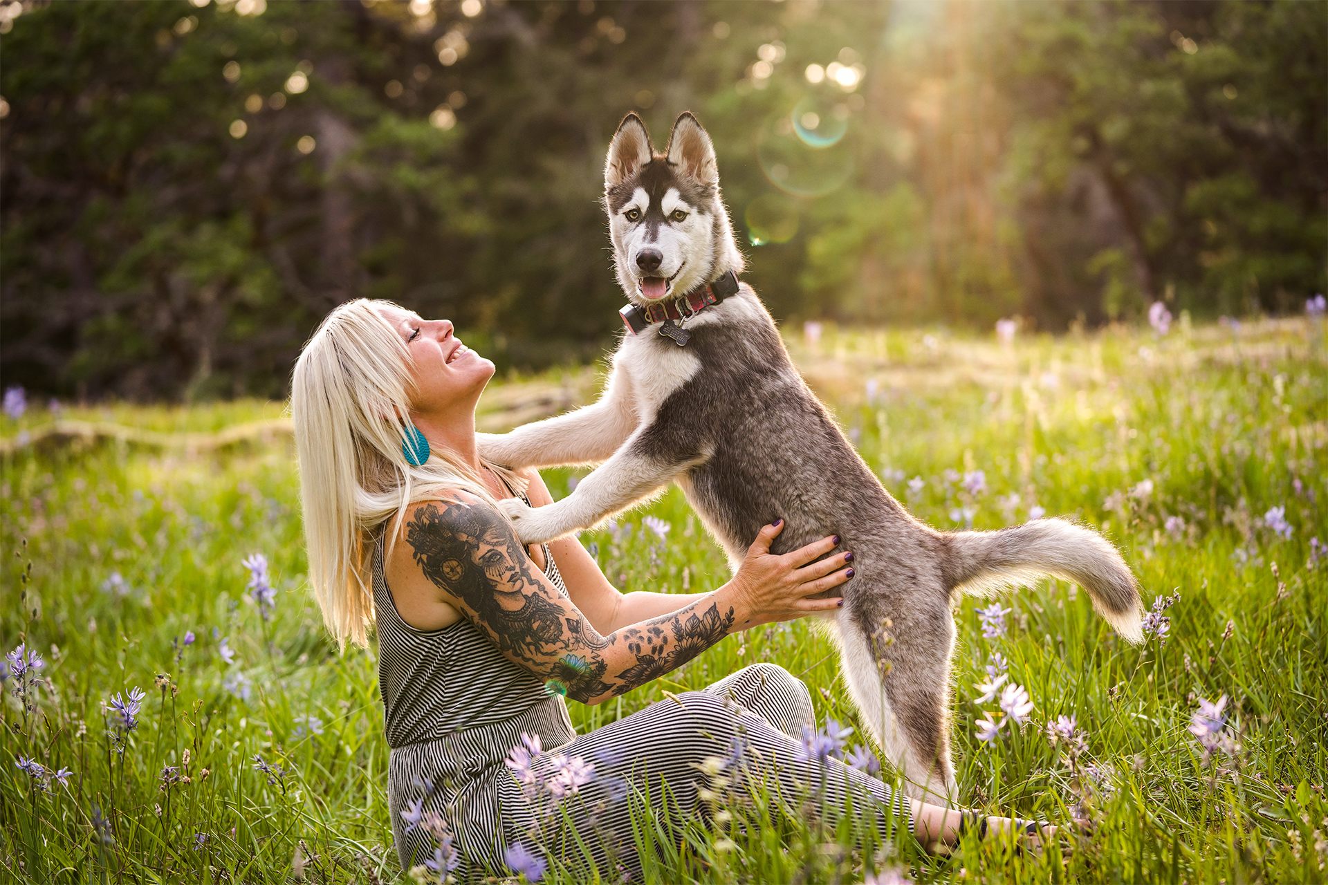 Woman and husky dog sit in a wildflower field in Washington