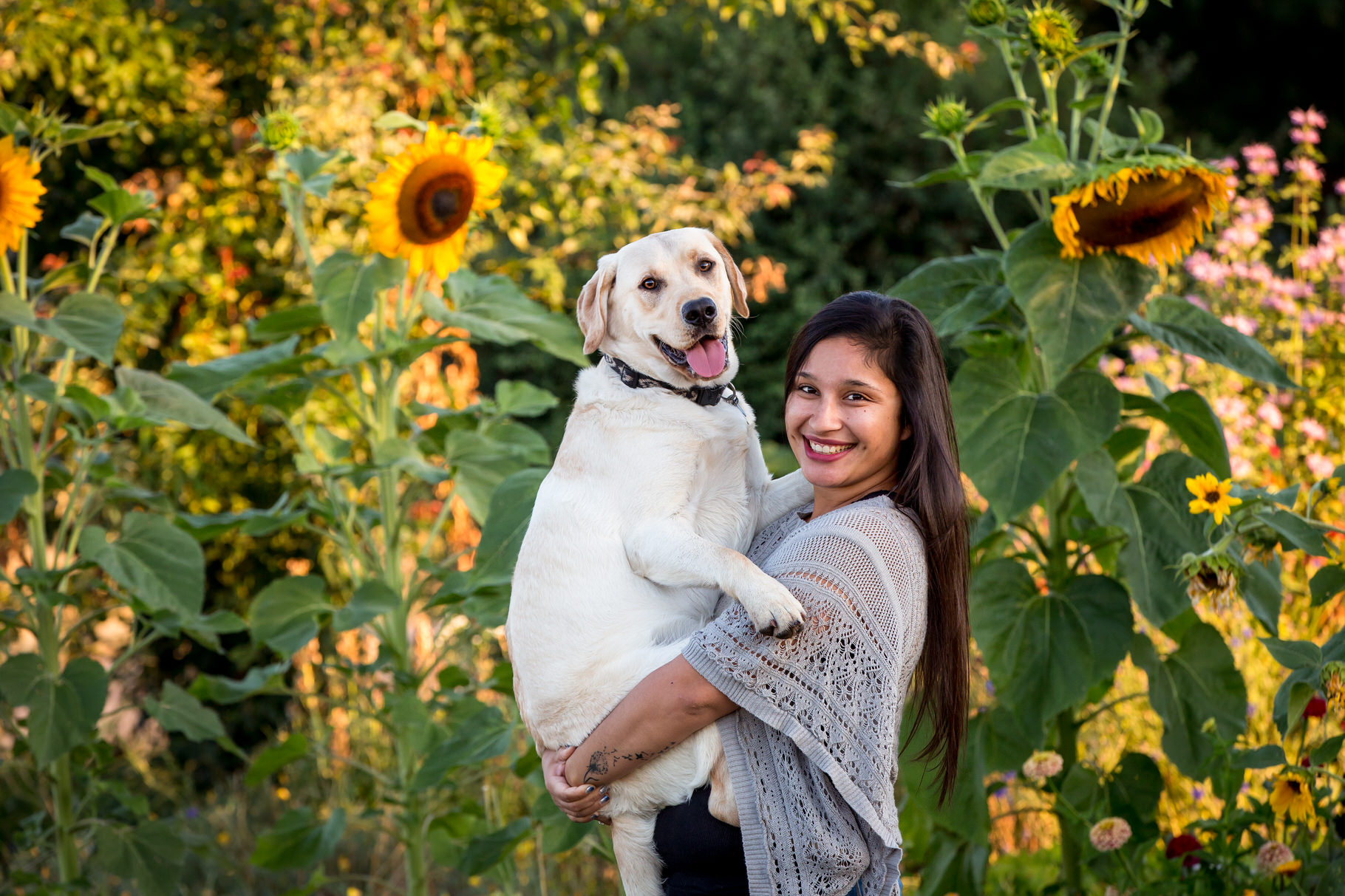 girl and dog in sunflowers