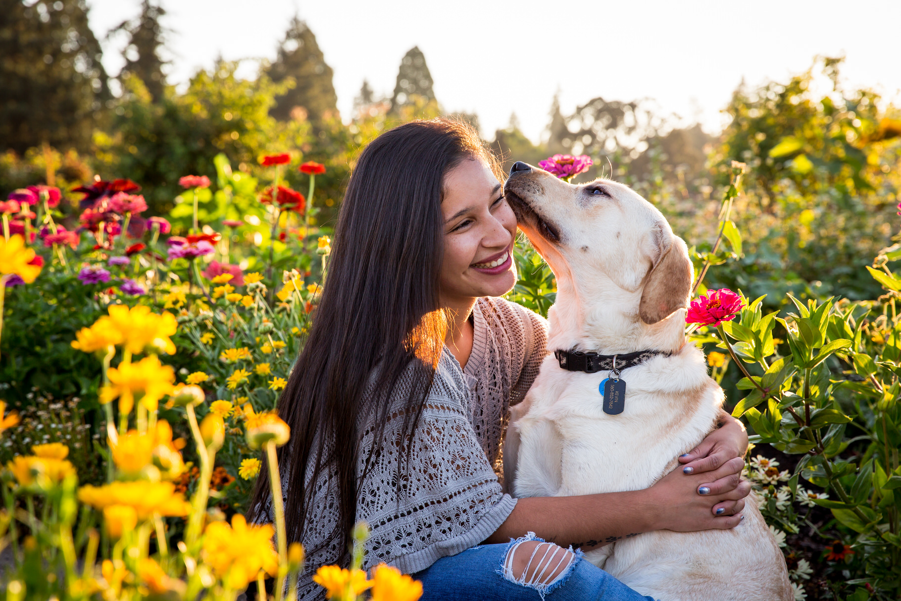 yellow lab with girl in flower field