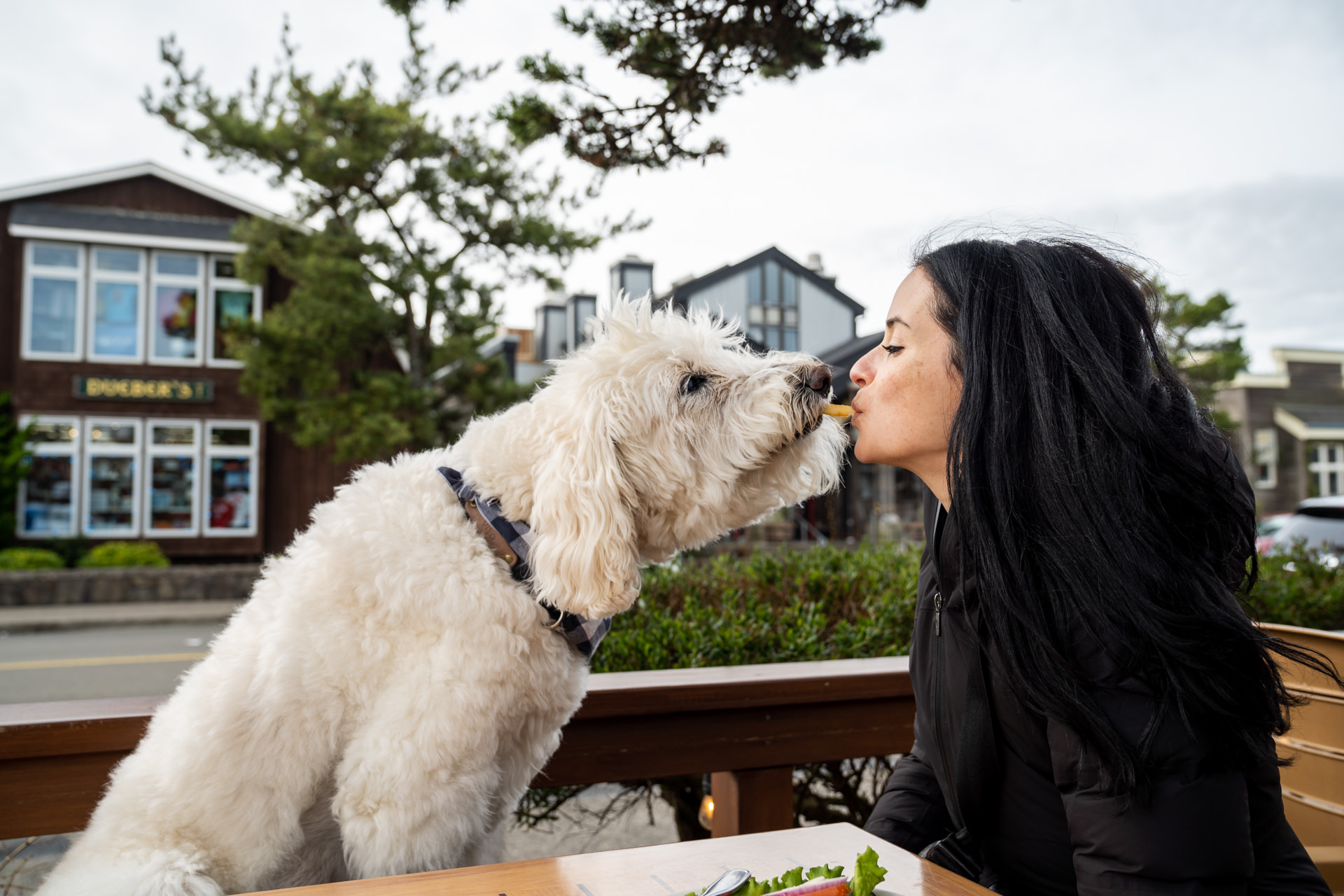 woman feeds dog a french fry in Cannon Beach
