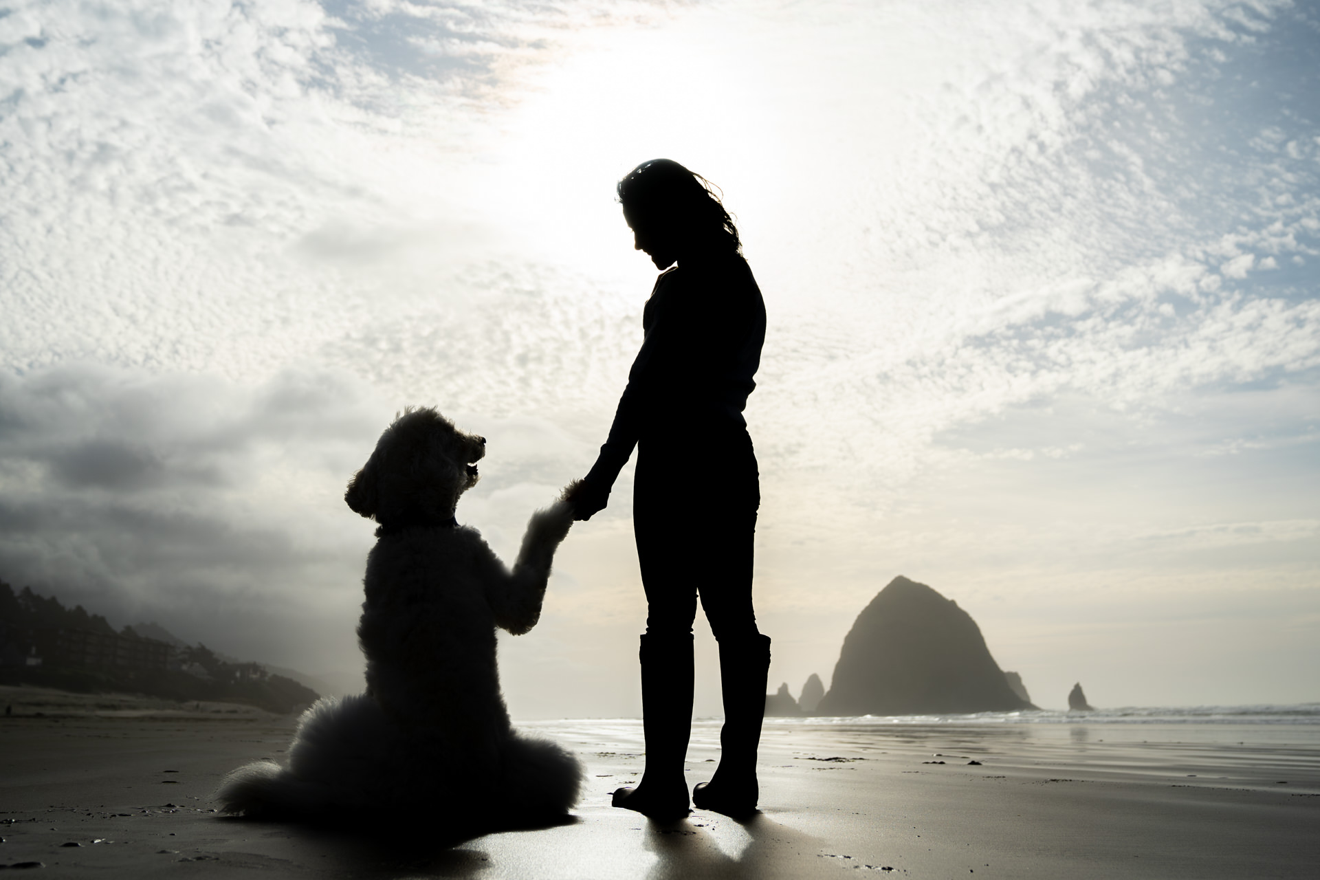 woman holding dog's hand at Cannon Beach
