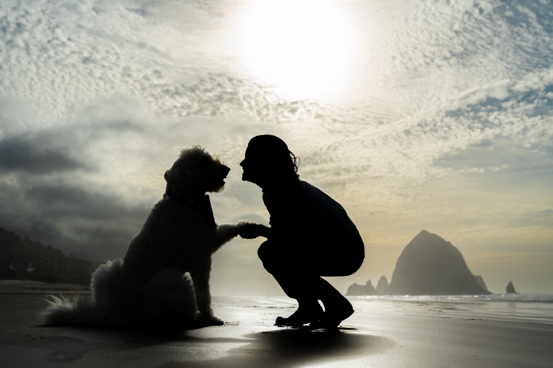 woman holds dog's paw at Cannon Beach