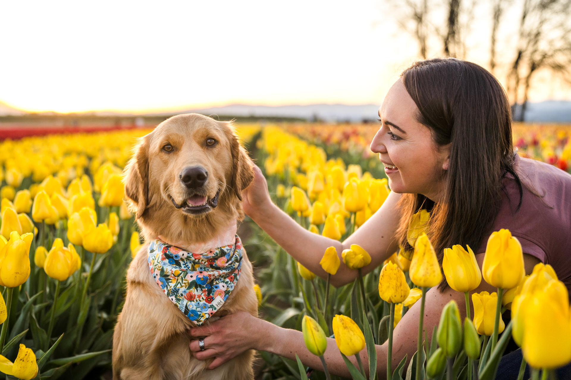 woman with golden retriever in yellow tulip field