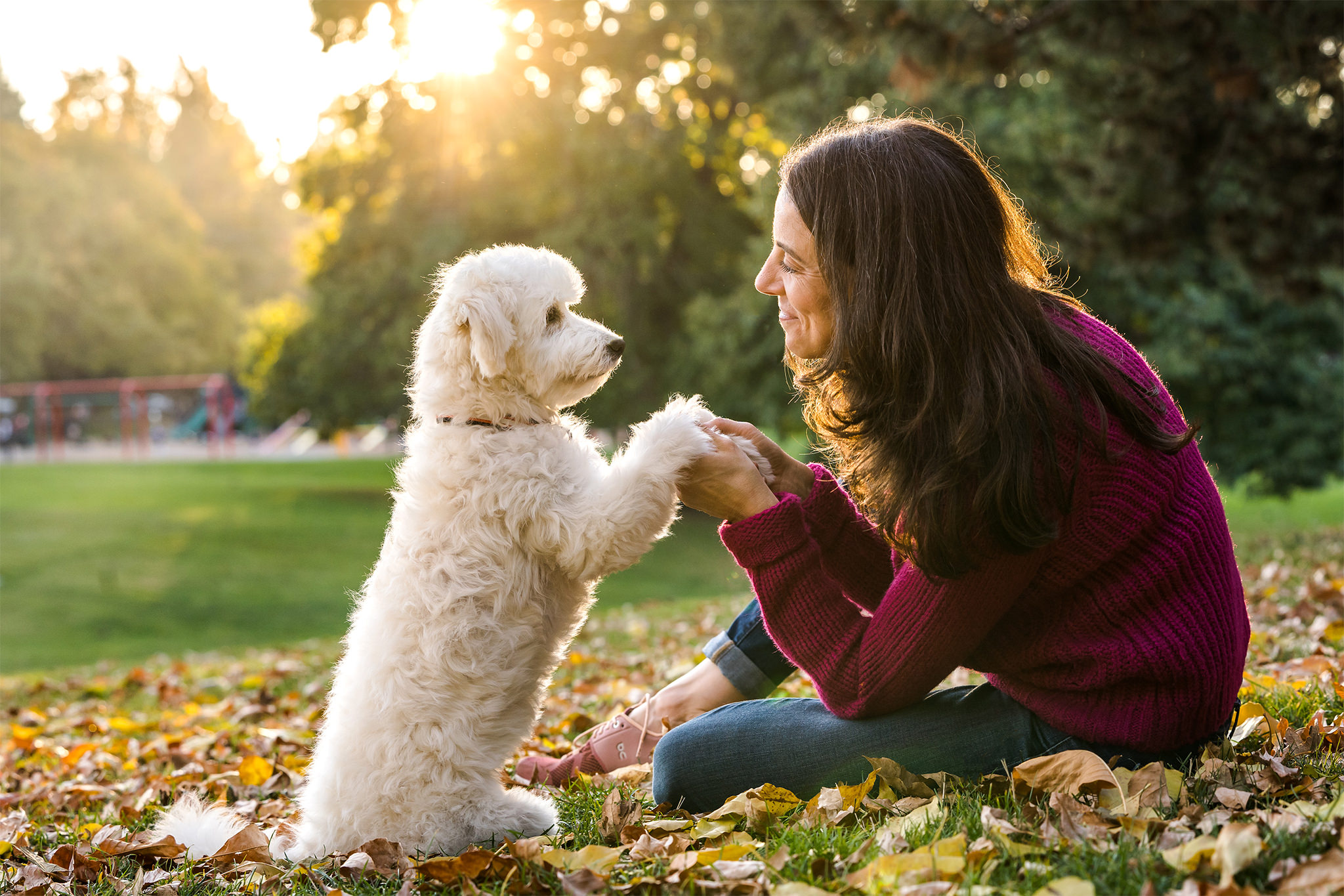 photos with dog in Portland in fall