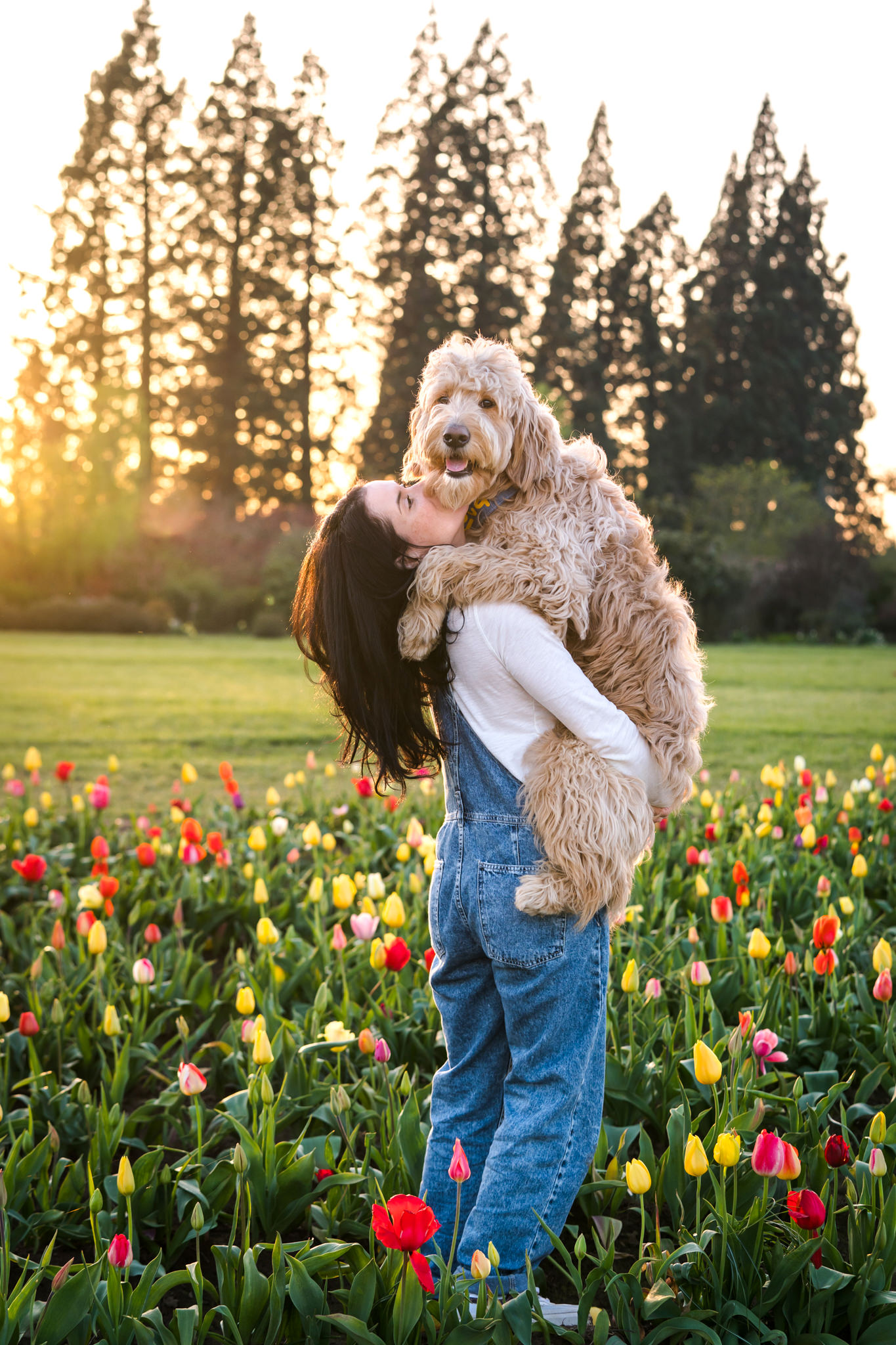 woman holds dog in a tulip field in Oregon