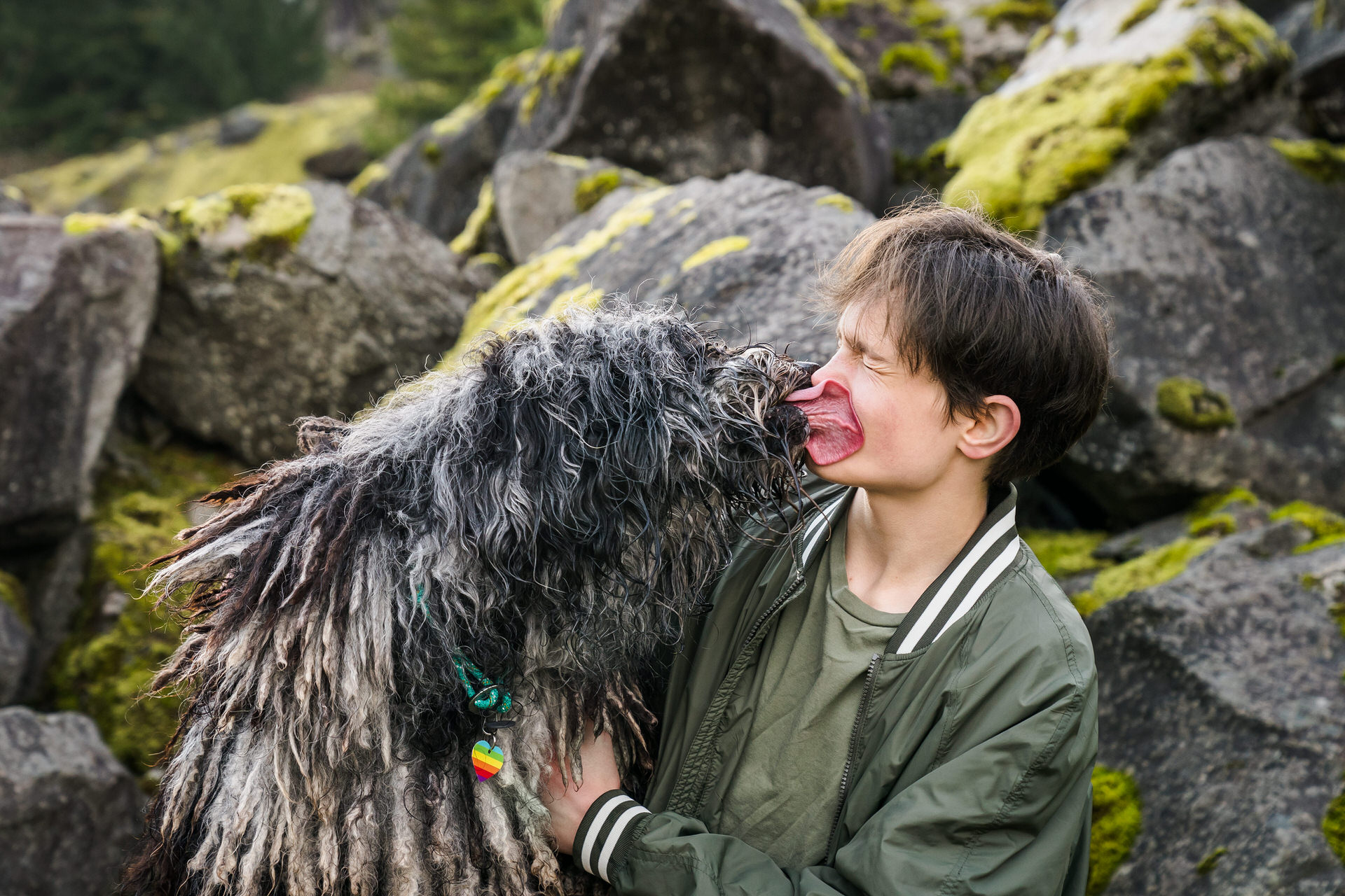 Bergamasco dog licks a boy's face