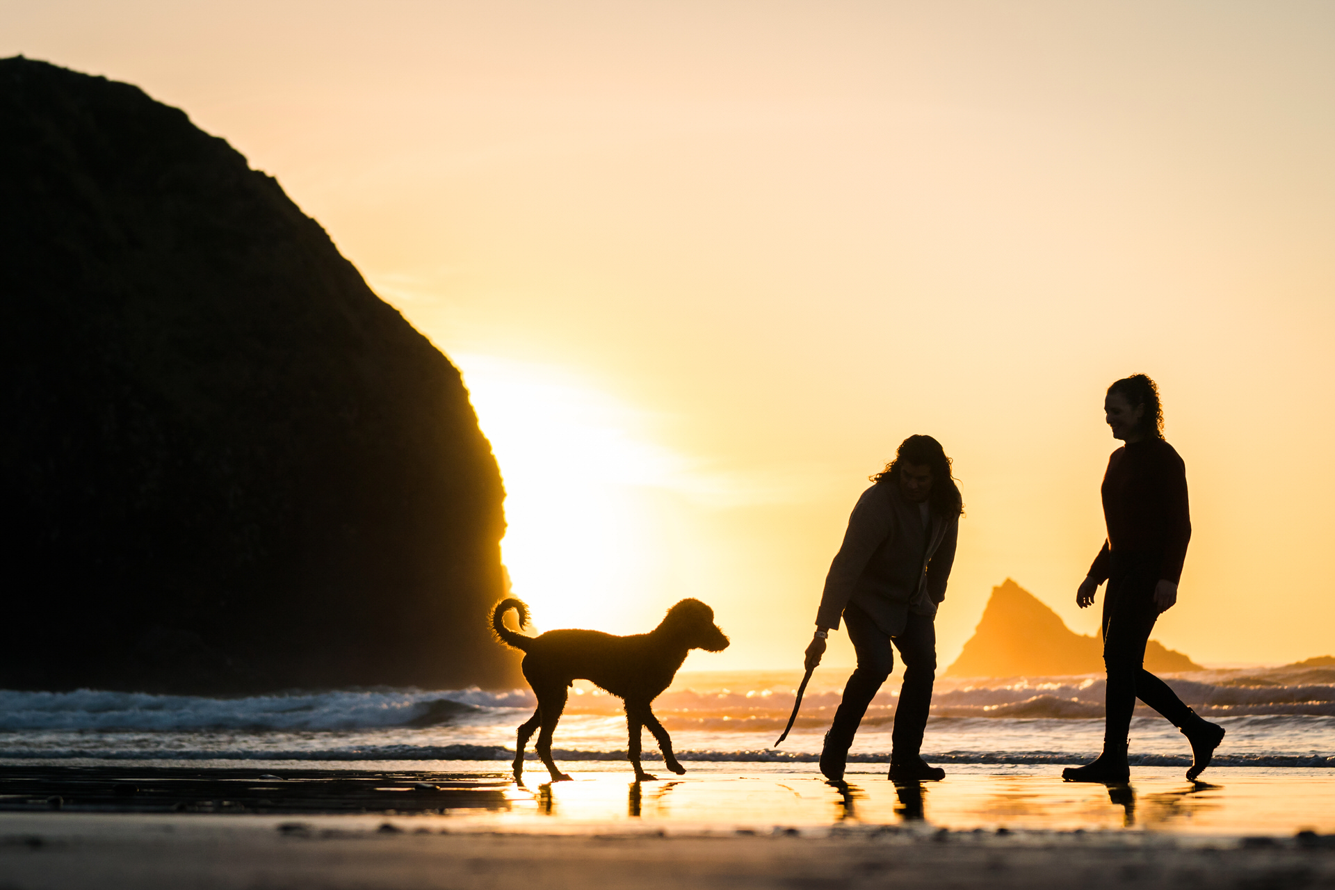 silhouette of a couple playing with their dog at sunset at the beach