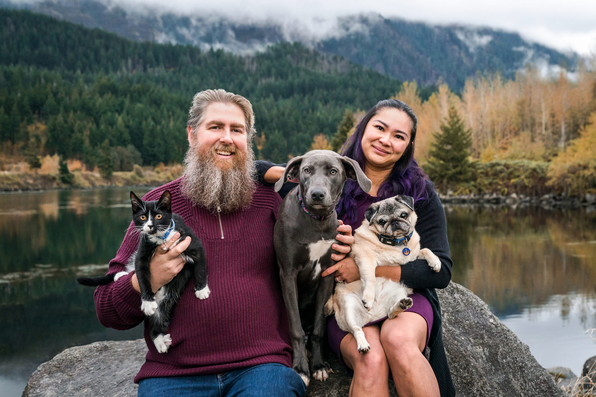 A couple with their two dogs and a cat sit on a rock outside for their photo session