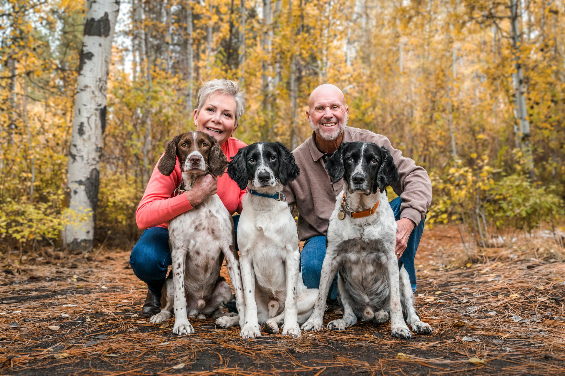couple and their three springer spaniel dogs pose together in the autumn