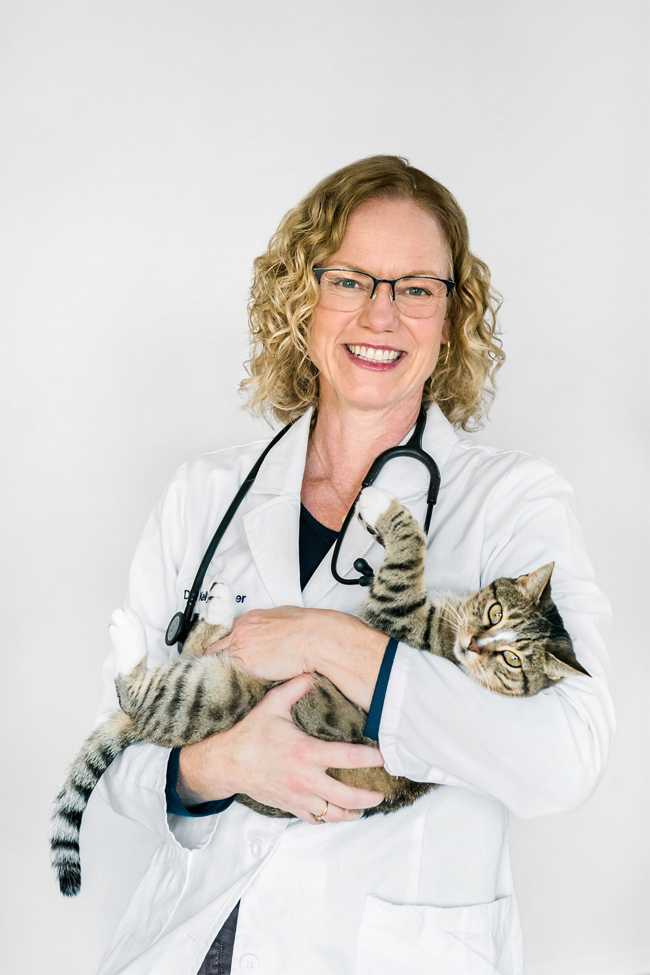 veterinarian in a white coat holds a cat