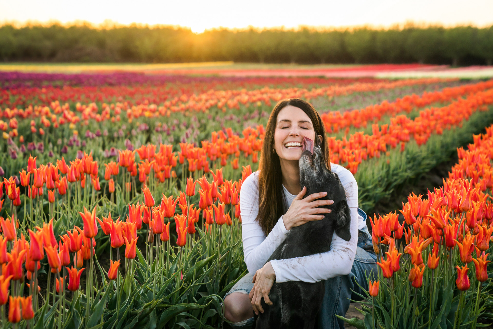 woman hugs dog in a tulip field at sunrise